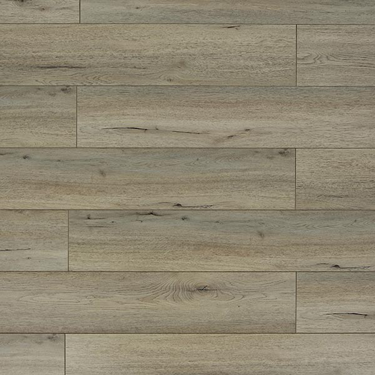 TF6201-F