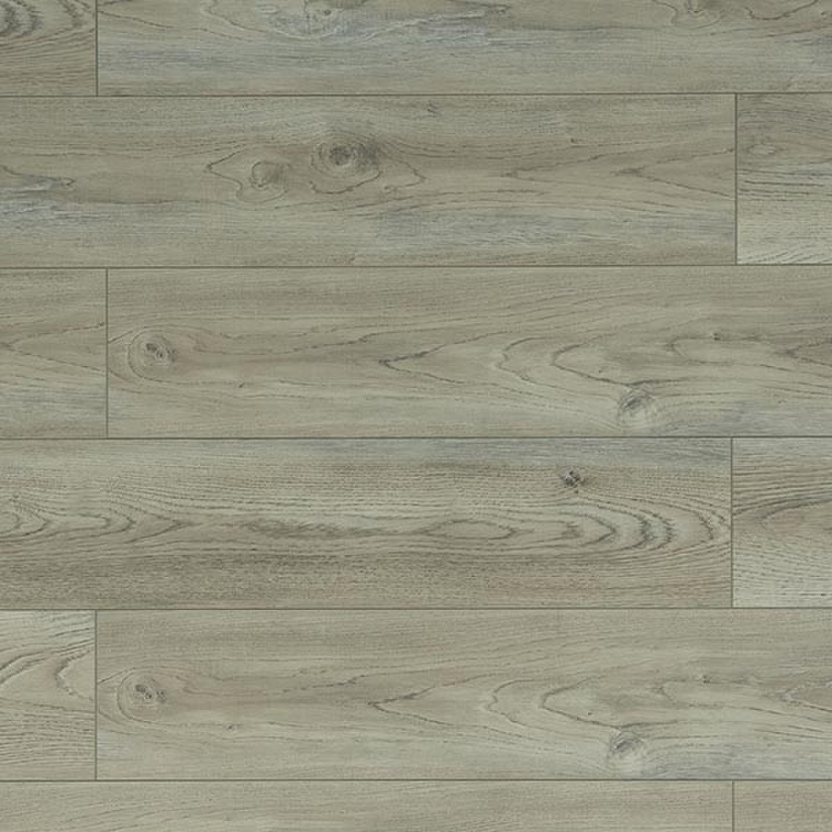 TF6205-F